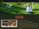宣恩伍家台贡茶产业协会缩略图
