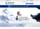 望奎县中医院官方网站缩略图