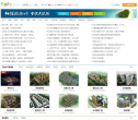 乌鲁木齐网缩略图