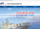 武汉中扬物流缩略图