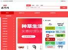 99品牌网缩略图
