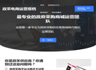 政采电商运营搭档缩略图