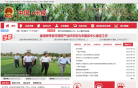 乐陵市政府网缩略图
