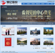 银亿股份缩略图