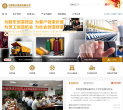 中国恒天集团公司缩略图
