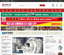 申城之窗缩略图