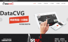 数聚股份缩略图