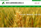 大唐种业缩略图