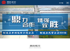 江苏鼎胜新能源材料缩略图