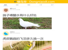 青岛寻梦网络科技缩略图