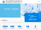 湖北远大富驰化工缩略图
