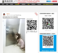 狗派对网缩略图