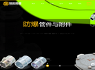 浙江国忠防爆电气缩略图