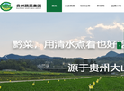 贵州蔬菜集团官网缩略图