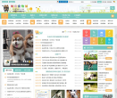 河南宠物城缩略图
