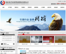 龙兴钛业缩略图