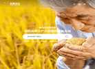 山东京博农化科技缩略图