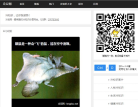 冷豆网缩略图