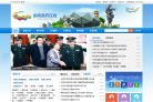 龙岗政府在线缩略图