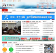 丽水市政府网缩略图