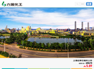 安徽六国化工缩略图