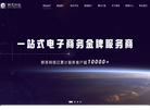 山东群思网络技术缩略图