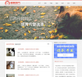 猫咪领养网缩略图
