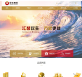 民生控股缩略图