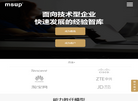 MSUP软件研发缩略图