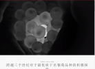 人头马干邑缩略图