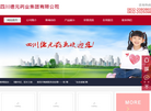 四川德元药业集团缩略图
