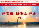 山东国惠投资缩略图
