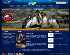 上海海洋水族馆缩略图