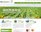 双星种业缩略图