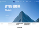 上海行迪医院管理咨询缩略图