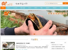 龟谷鳖老缩略图