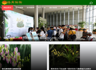 依稀植物网缩略图