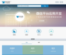 微指数缩略图