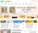 新家优装网缩略图