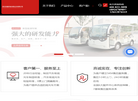 深圳市鑫跃电动观光车缩略图