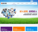 振东制药缩略图