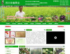 宗富李子苗基地缩略图