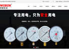 温州市世联仪表缩略图