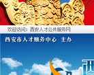 西安人才公共服务网缩略图