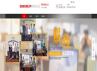 发条西安新承弹性元件有限责任公司缩略图