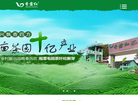 湖南香露红茶业科技缩略图