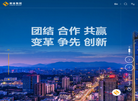 河北新金钢铁缩略图