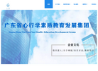 广东省心行学素质教育发展集团缩略图