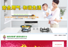 新疆火炬缩略图