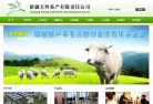 天羚绒业缩略图